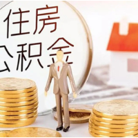 2024年全国发放住房公积金个人住房贷款230.56万笔