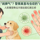 春来皮肤“闹脾气”?警惕真菌与虫咬的“春季攻势”