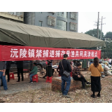 沅陵镇迅速开展禁捕退捕雷霆行动 渔船户签订不涉渔承诺书200多份