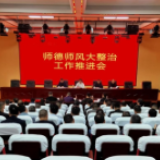 辰溪：开展师德师风大整治行动