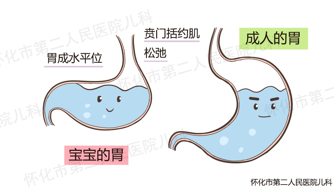 宝宝胃容量发育图图片