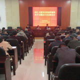 洪江市召开师德师风专项整治行动推进会
