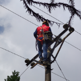 国网通道县供电公司:未雨绸缪开展配网整治 保障春节用电安全可靠