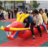 沅陵鹤鸣山小学：旱地龙舟妙趣横生