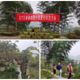 诚信互助聚活力  消费扶贫暖人心