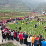 洪江区:稻香鱼肥奔小康