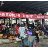 降温不降情!湖南医药学院“以购代捐”活动拉开序幕