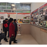洪江区横岩乡：紧抓禁毒教育 筑牢思想防线