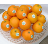 橙意满怀•化柑甜 |洪江市多举措助力柑橘保收促销