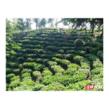 决战脱贫再出发