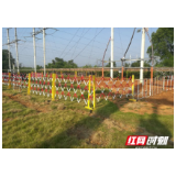 怀化恒光电力公司：抗击疫情 精准防控 推动复工复产