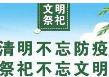 恒光电力公司：组织党员志愿者开展“文明清明、同心战疫”宣传活动