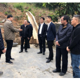 申志军赴溆浦县督查指导汛期地质灾害防治工作