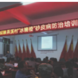 科技引领产业发展，茶溪村开展冰糖橙技术培训会