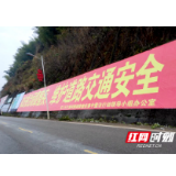 洪江市顽瘴痼疾整治行动显成效 阶段考核评分获全市第一