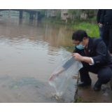 麻阳县检察院督促非法捕捞犯罪嫌疑人增殖放流偿还生态债