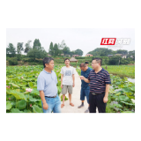 湘村振兴 | 沅陵二酉：丹青绘就苗乡新画卷