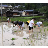 干部帮扶到田间  贫困群众喜开颜