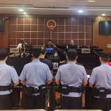 靖州法院：世界环境日公开宣判一起非法收购滥伐的林木案
