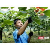 新晃：住上新房子  过上甜日子