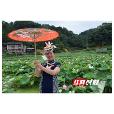 通道：星城亲人来　侗寨大变样