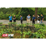 湖南医药学院领导前往岩板井社区开展扶贫调研工作
