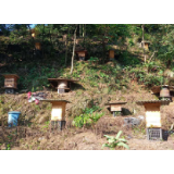 【决战脱贫“群英赞”】沅陵县驮子口村：酿造甜蜜新生活