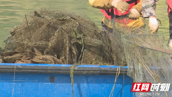 下一步,中方县还将通过定期与不定期的巡查,从重打击电鱼,炸鱼