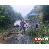 暴雨肆虐，通行受阻，辰溪公路人冒雨护路