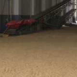 秋收中的一抹检察蓝——洪江市检察院助力贫困户秋粮抢收
