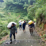 汗水洒落稻田 初心篆刻土地