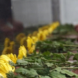 缅怀先烈,武警洪江中队开展“红色路线我来走”纪念活动