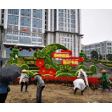 图片新闻 | 怀化市民广场鲜花迎国庆