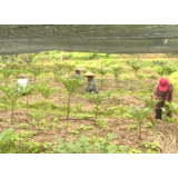 走向我们的小康生活 | 怀化辰溪：美丽瑶村 幸福的炊烟袅袅升起