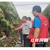 科技列车怀化行—辰溪开展农业技术服务系列活动