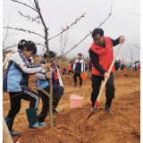 沅陵鹤鸣山小学：小手拉大手，植绿护水齐动手
