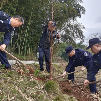 凝心聚力添新绿，怀化铁路公安处麻阳站派出所开展义务植树节活动