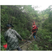 溆浦：我为群众办实事，清渠引水促春耕