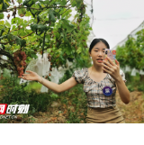 主播进基地 好货出五溪