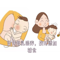 【健康科普】母乳是宝宝最好的口粮