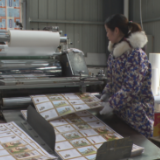 中方：企业复产复工复市忙