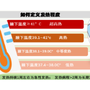 【健康科普】宝宝发热别焦虑科学应对最重要