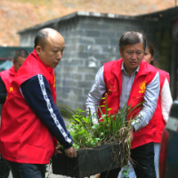 通道： 小菜园没了  大环境美了