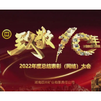 辰州矿业“致敬十年”2022年度总结表彰（网络）大会