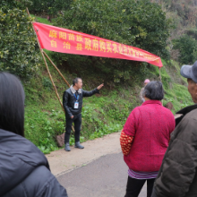 麻阳苗乡：技术进村  专家传柑橘管理“真经”