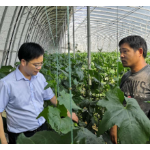 善建躬行向未来 ——看建行怀化市分行如何奋力书写服务怀化高质量发展金融答卷