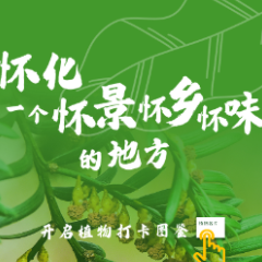 交互海报 | 在怀化，和神秘的“它们”交个朋友吧