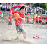 田野最乐趣！ 湖南省第五届农耕大赛在安江农校纪念园开赛