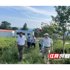 湖南财政经济学院经济学院“侗兴共振”调研队走进芷江