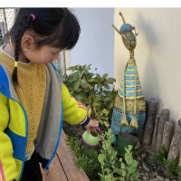 “童”种一棵树 怀化市幼儿园为孩子健康成长“添绿色增阳光”